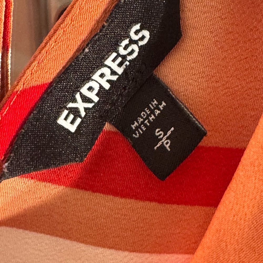 Express Multicolor Striped Blouse - image 4